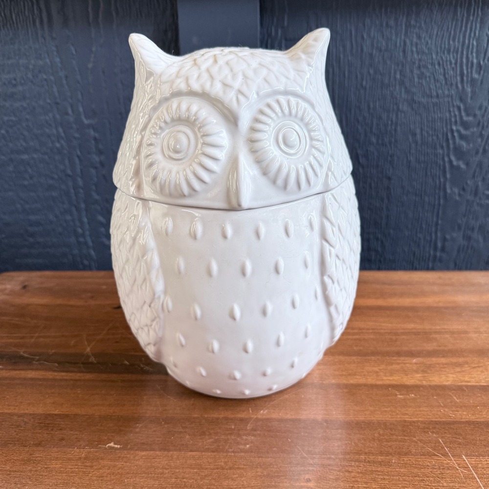 West Elm Owl Cookie Jar Canister White Ceramic Excellent Textured Feather Detail